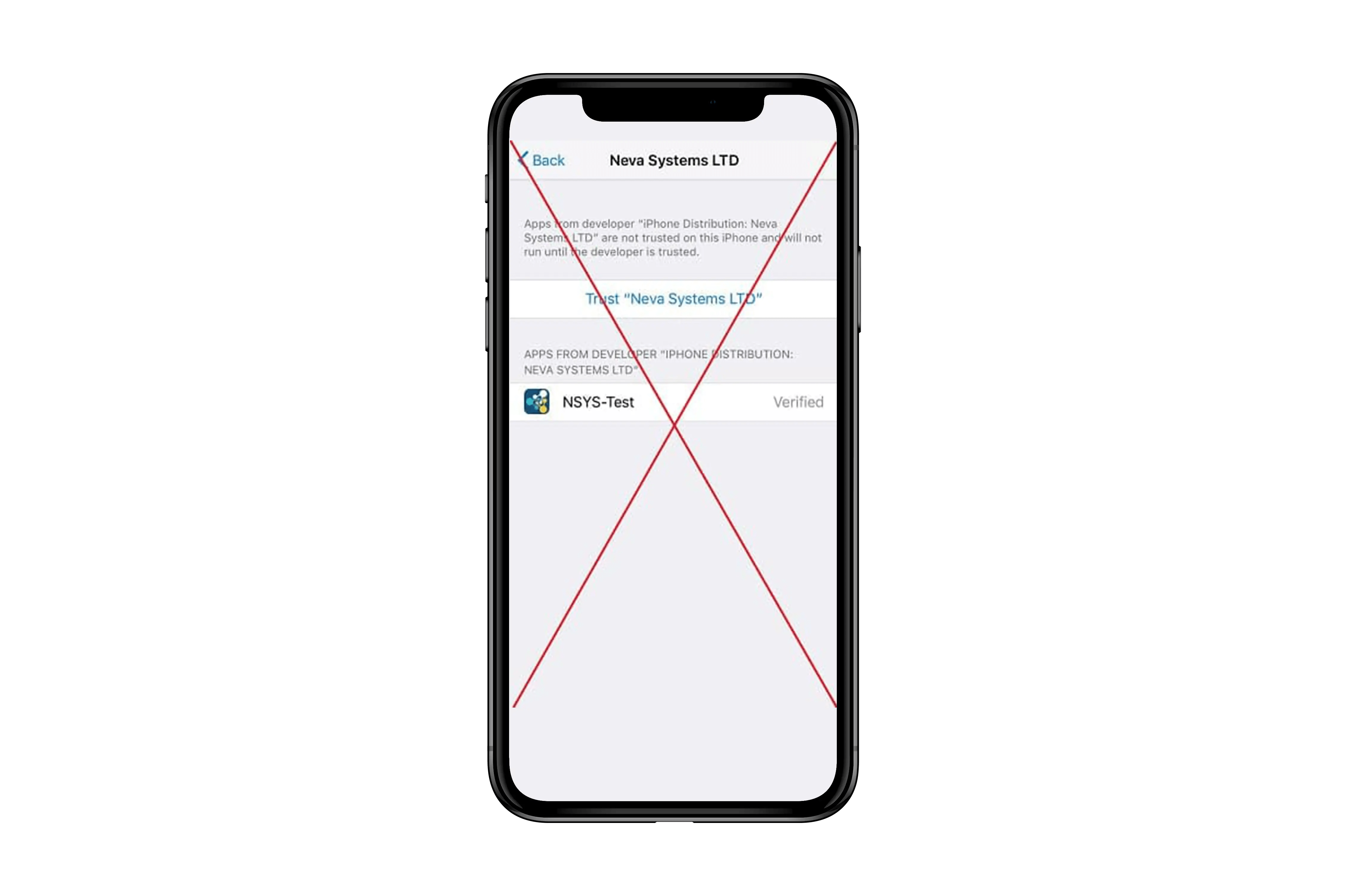 NSYS Group remote testing application